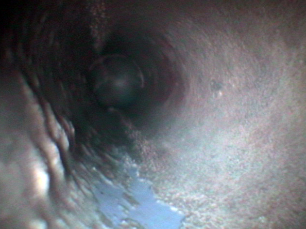 スコープカメラで見た排水管内部
